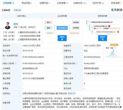 東莞團貸網(wǎng)互聯(lián)網(wǎng)科技服務(wù)被列入經(jīng)營異常名錄 網(wǎng)絡(luò)技術(shù)開發(fā)與信息咨詢的合規(guī)警示