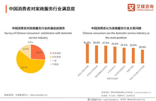 2024-2025年中國家政服務(wù)業(yè)發(fā)展及行業(yè)投資機遇分析 網(wǎng)絡(luò)技術(shù)驅(qū)動的變革與信息咨詢價值