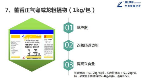 大力推進一體化形象服務體系建設，推動高山中獸藥向更高水平發展——信息系統運行維護服務篇